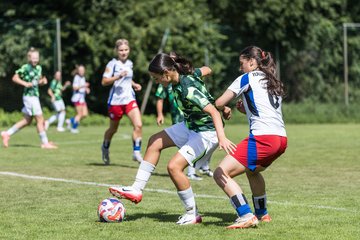 Bild 235 - wBJ Hamburger SV - VfL Wolfsburg : Ergebnis: 5:1